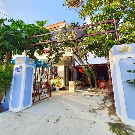 Milk Fruit Homestay - An Bang Beach Hoi An Dış mekan fotoğraf