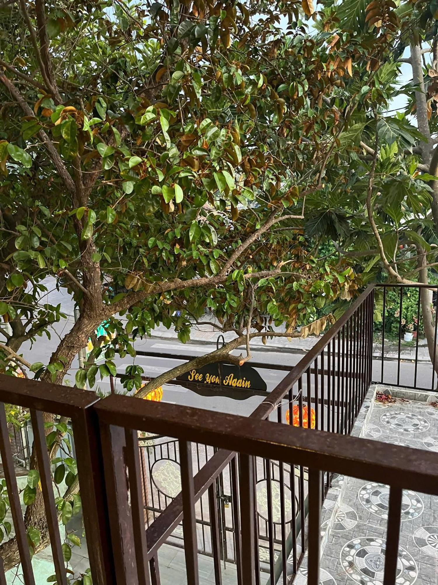 Milk Fruit Homestay - An Bang Beach Hoi An Dış mekan fotoğraf